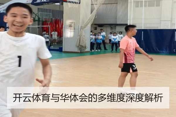 开云体育与华体会的多维度深度解析
